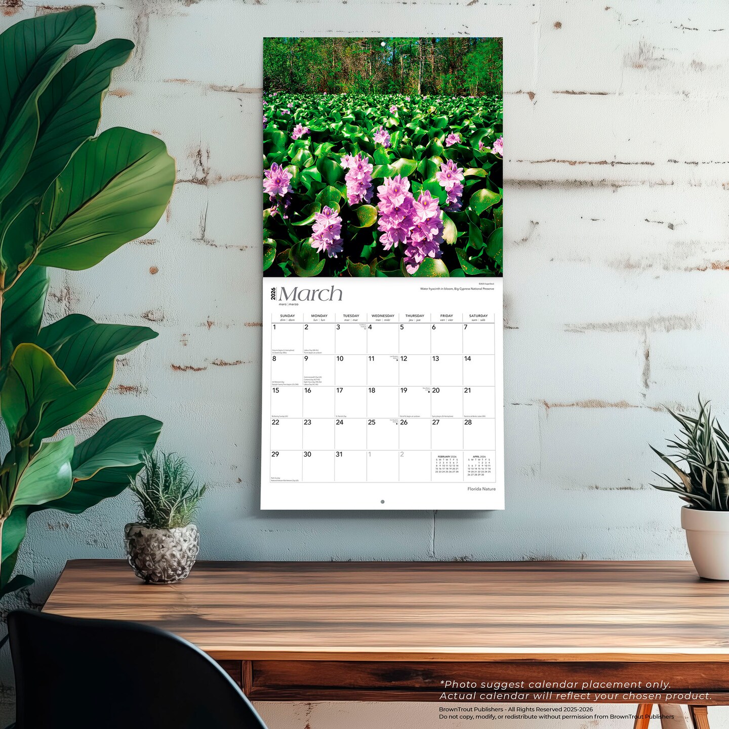 Florida Nature | 2026 12 x 24 Inch (Hanging) Monthly Square Wall Calendar | Plastic-Free