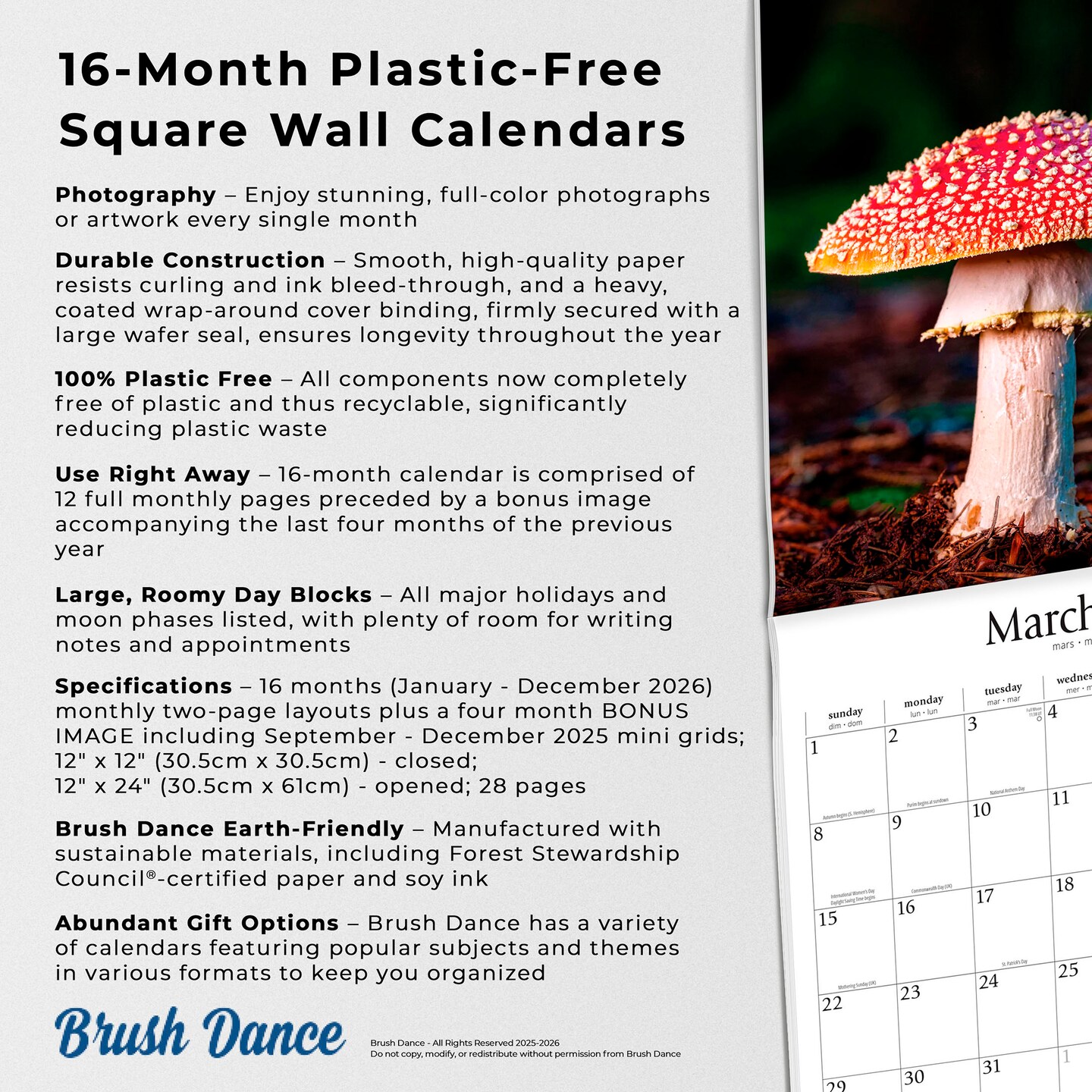 Magic Mushrooms | 2026 12 x 24 Inch (Hanging) Monthly Square Wall Calendar | Plastic-Free