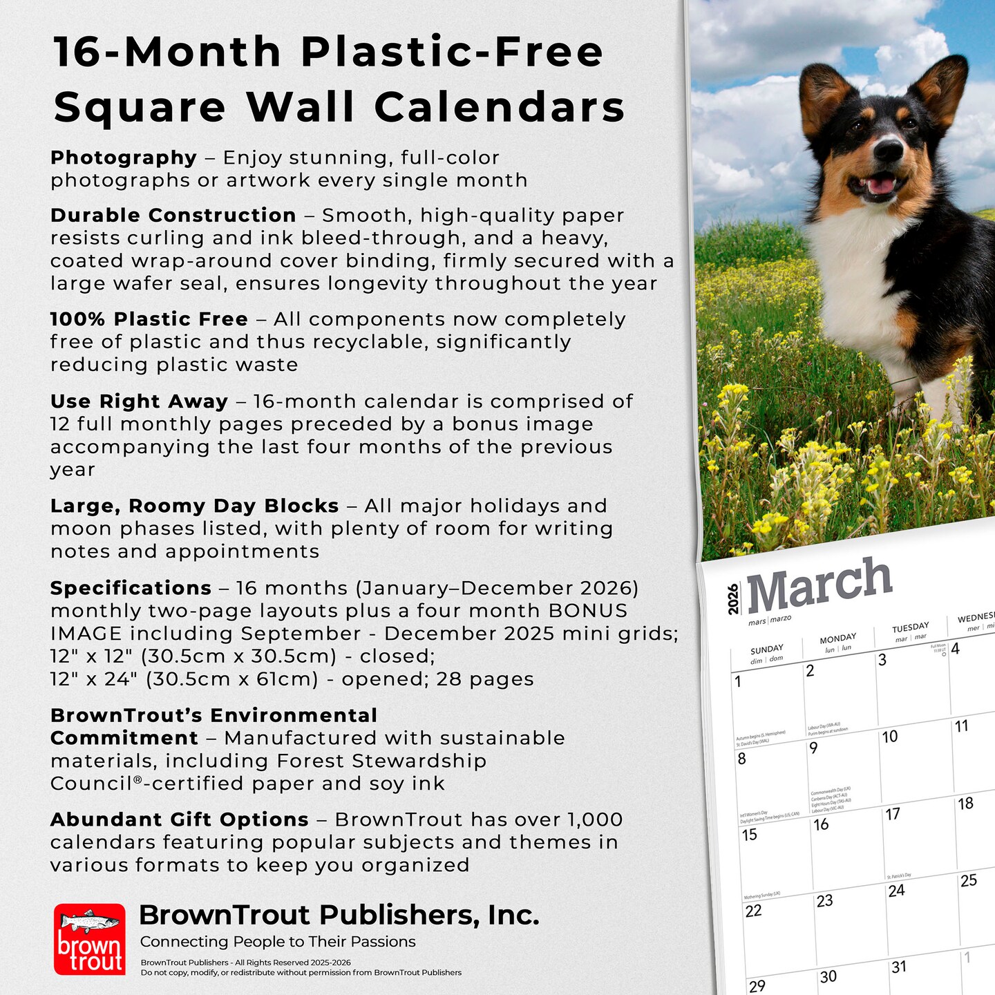 Welsh Corgis | 2026 12 x 24 Inch (Hanging) Monthly Square Wall Calendar | Plastic-Free