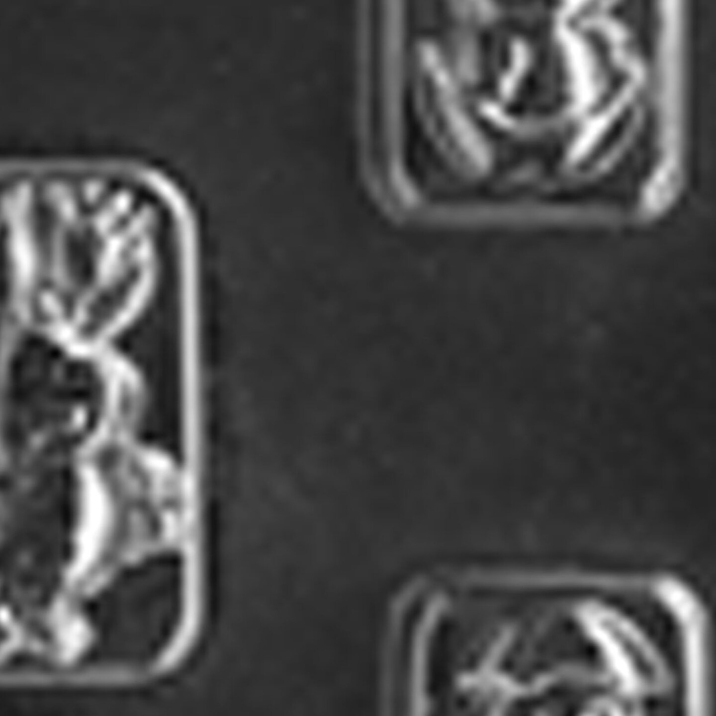Assorted Chick Pieces Chocolate Mold