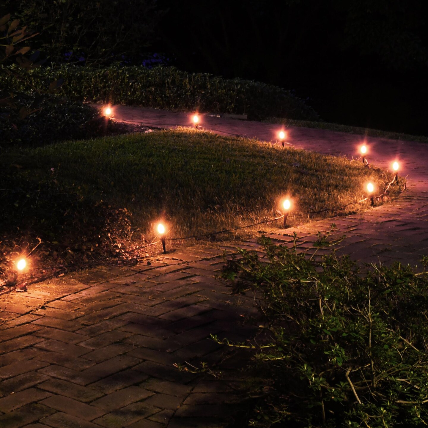 Mod Lighting and Decor Incandescent C7 Christmas Pathway Markers - 30&#x27; Green Wire - Clear - 10ct