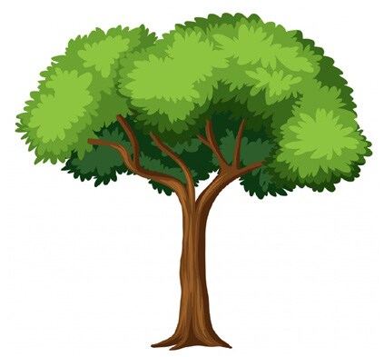 Jumbo Large Tree Cardstock Cutouts 10"x16" – 10 Pack | Classroom & Craft Tree Shapes for Bulletin Boards, Decorations & Kids Art Projects