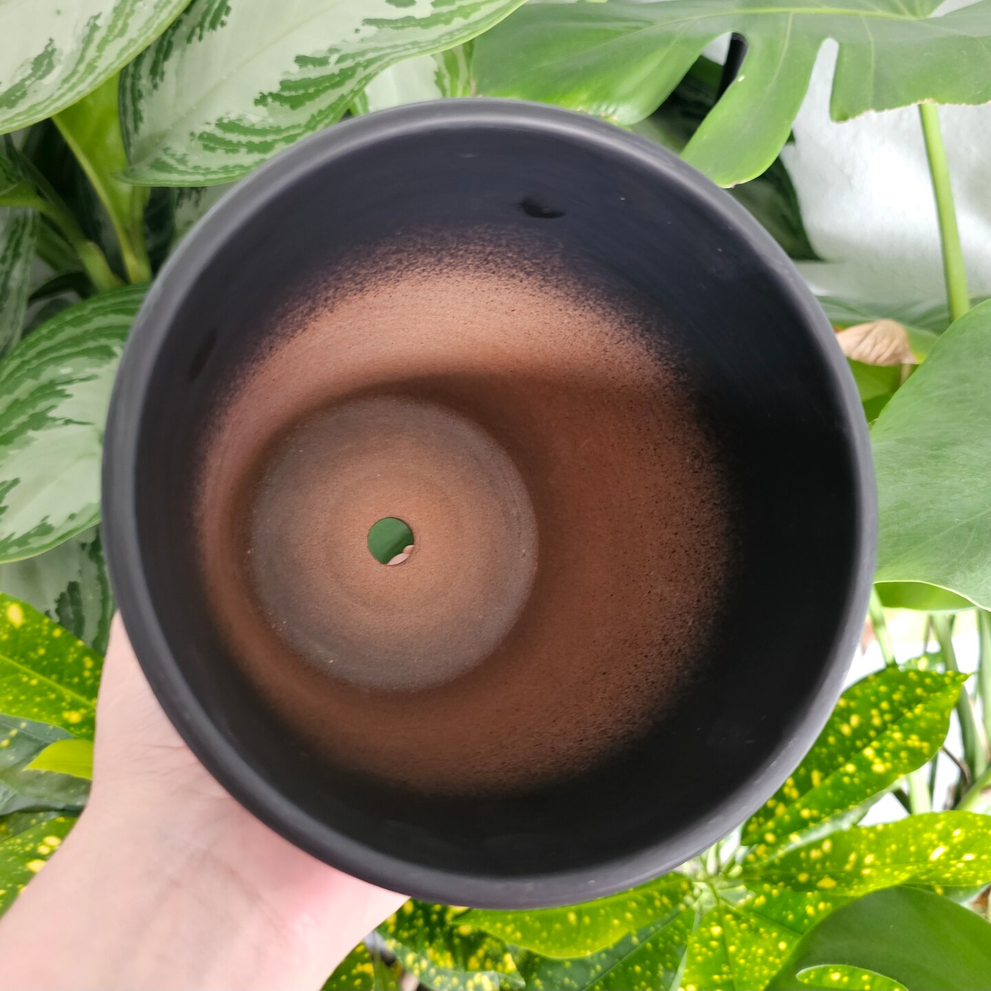 led grow plant lights Full Spectrum Indoor Plant Grow Light | Grow Lamp