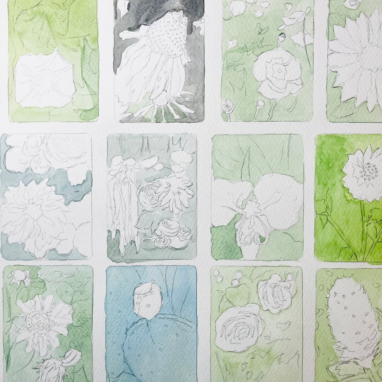 30 Watercolor Flower Studies for Painting Practice, Part I