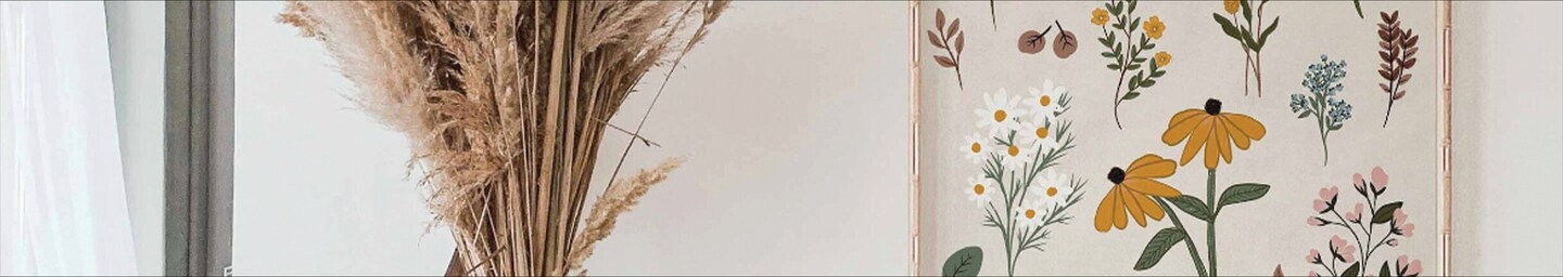 discover banner