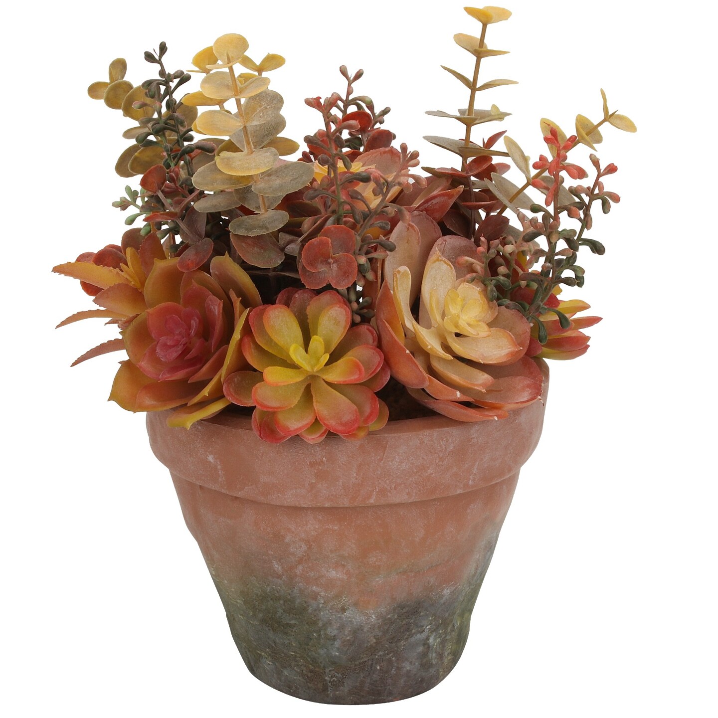 Grand Verde Succulents Artificial Plants, Assorted in Realistic Faux ...