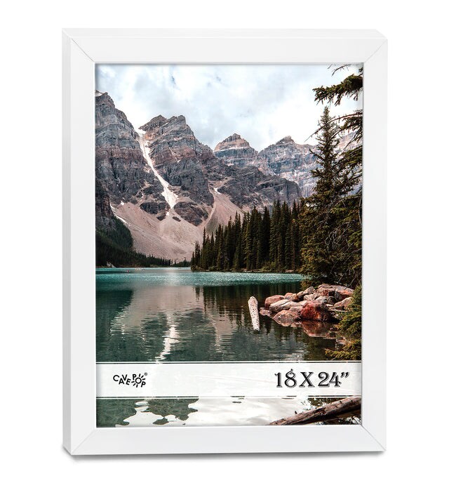 Michaels poster frames shop 18x24