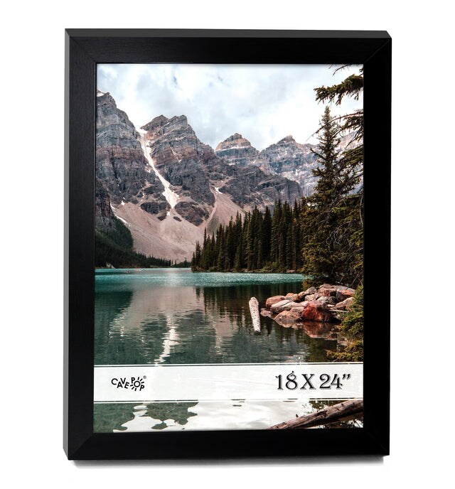Michaels 18 on sale by 24 frame