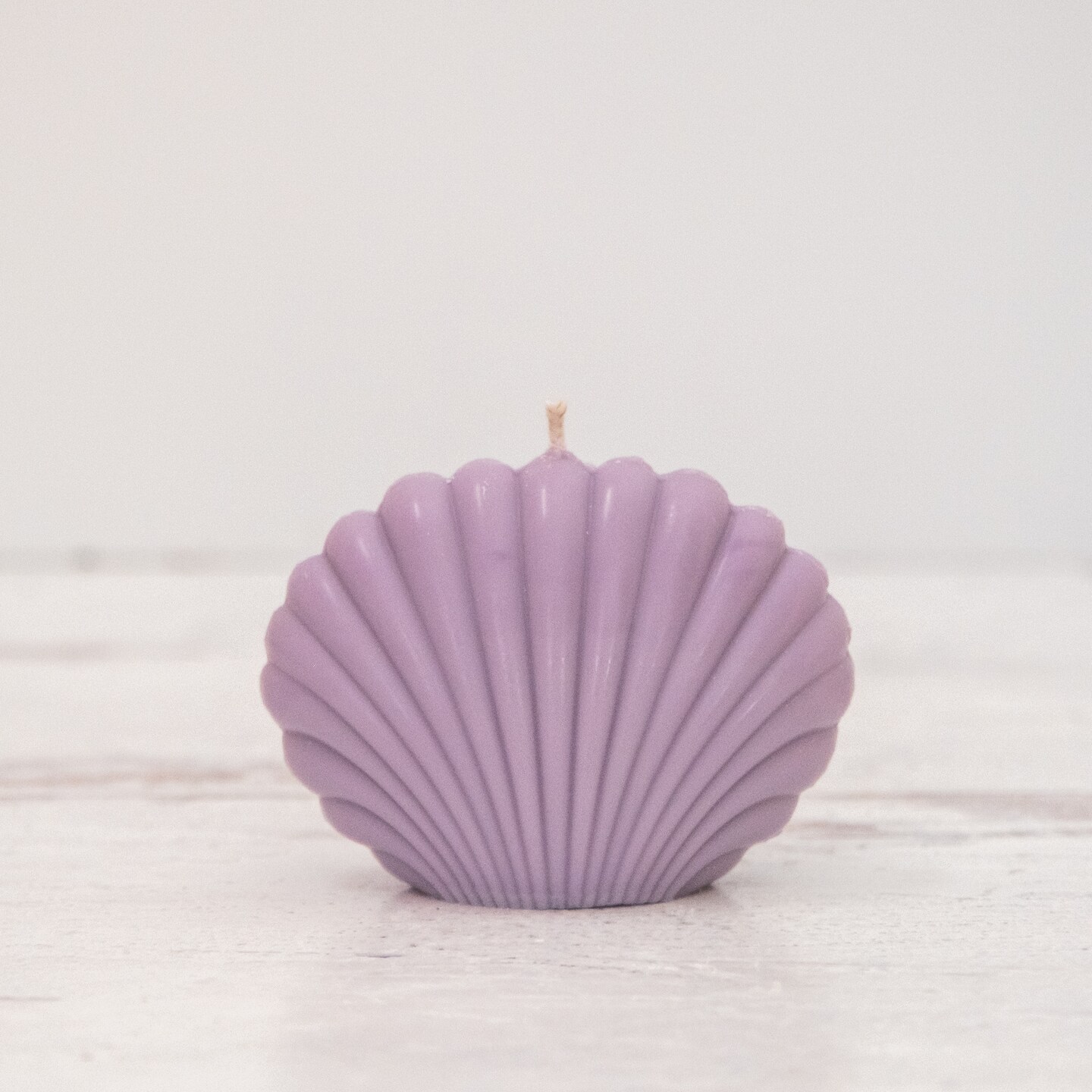 Seashell Candle Candles Michaels