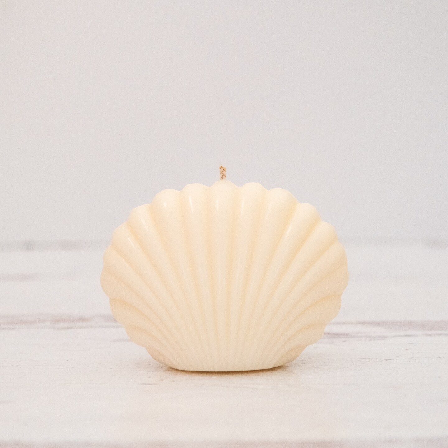 Seashell Candle Michaels