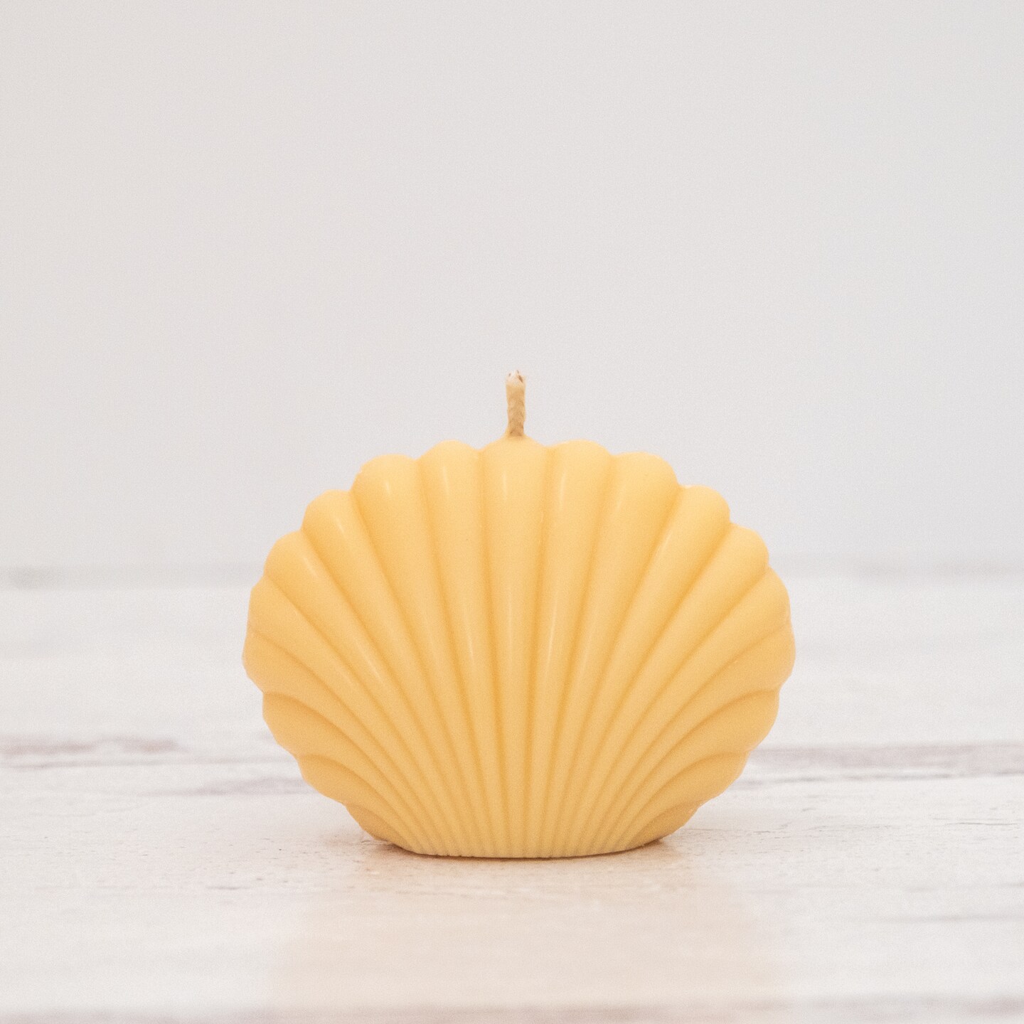 Seashell Candle Michaels