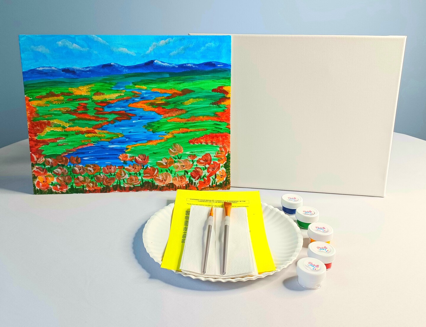 Field of Poppies Acrylic Painting Kit &#x26; Video Lesson