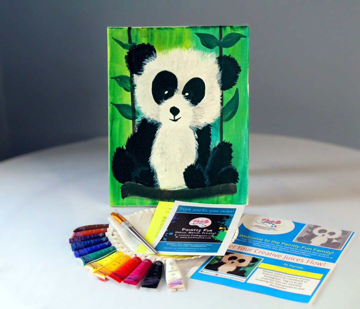 Paint By Colors - PJ Panda Acrylic Painting Kit, Art Gift Set, DIY Craft, Beginner Painting, Paint At Home