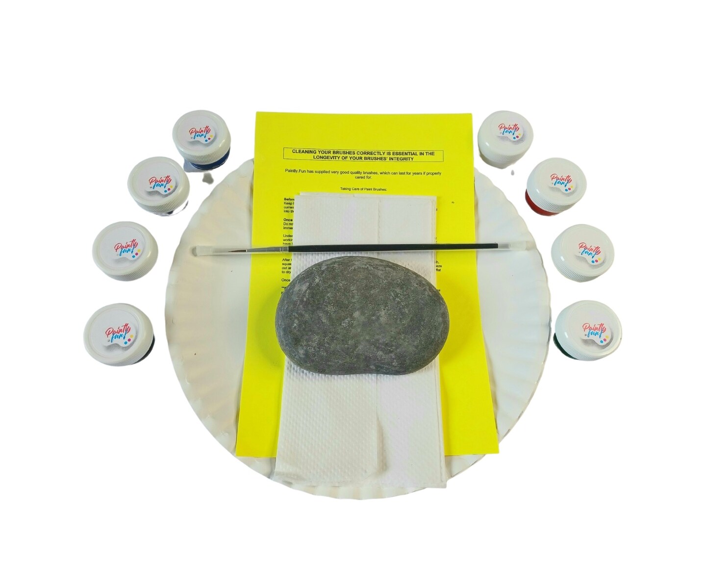 Turtle Playdate Rock Painting Kit &#x26; Video Lesson