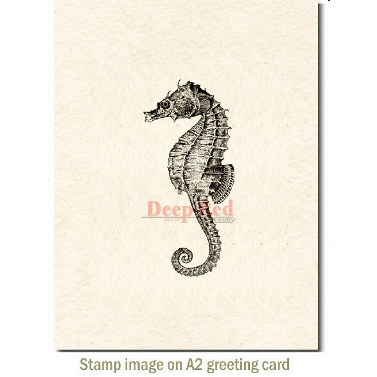 Deep Red Stamps Seahorse Rubber Cling Stamp 1.25 x 3.25 inches