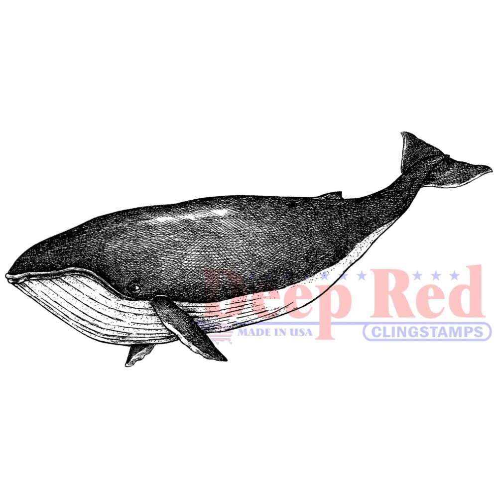 Deep Red Stamps Whale Rubber Cling Stamp 1.5 x 3.2 inches