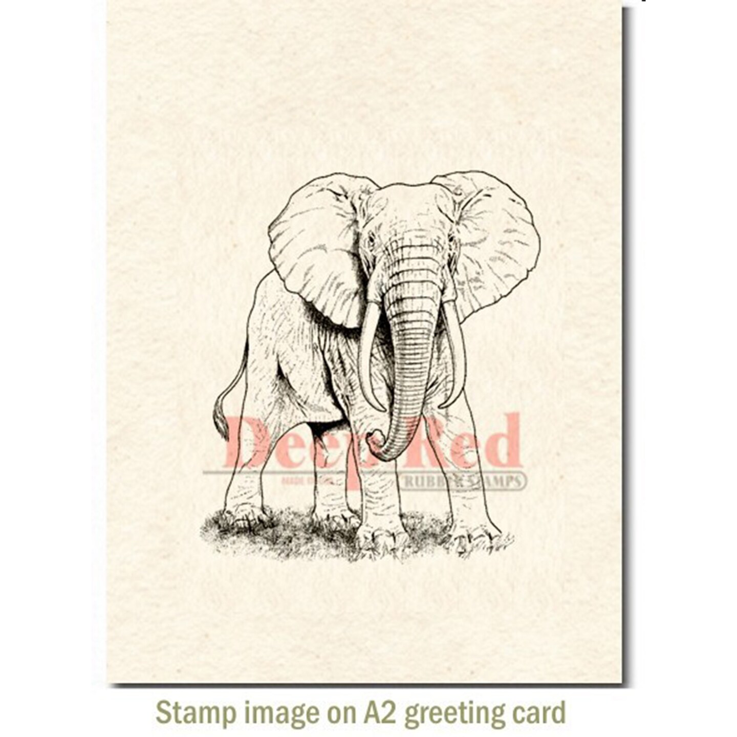 Deep Red Stamps African Elephant Rubber Cling Stamp 2.75 x 3 inches