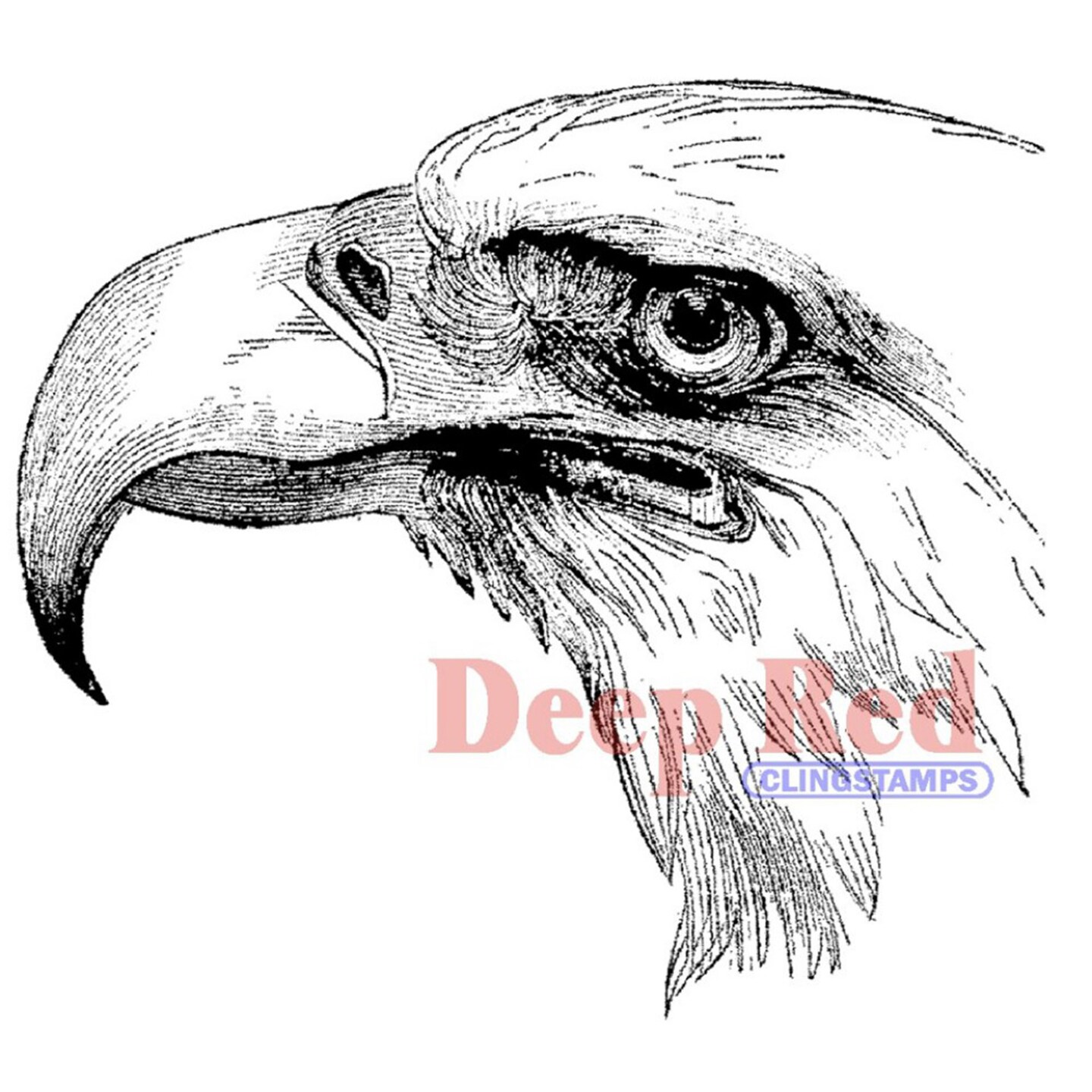 Deep Red Stamps Bald Eagle Portrait Rubber Cling Stamp 3.2 x 2.9 inches