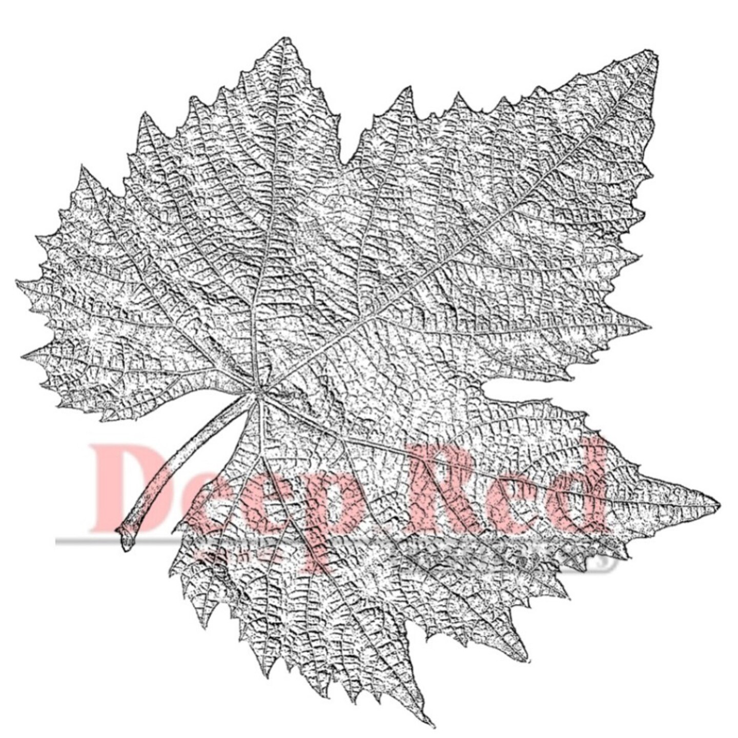 Deep Red Stamps Autumn Leaf Rubber Cling Stamp 3.25 x 3.25 inches
