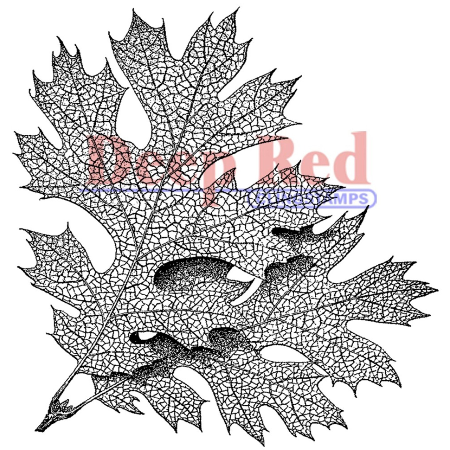 Deep Red Stamps Elm Leaves Rubber Cling Stamp 3 x 3.1 inches