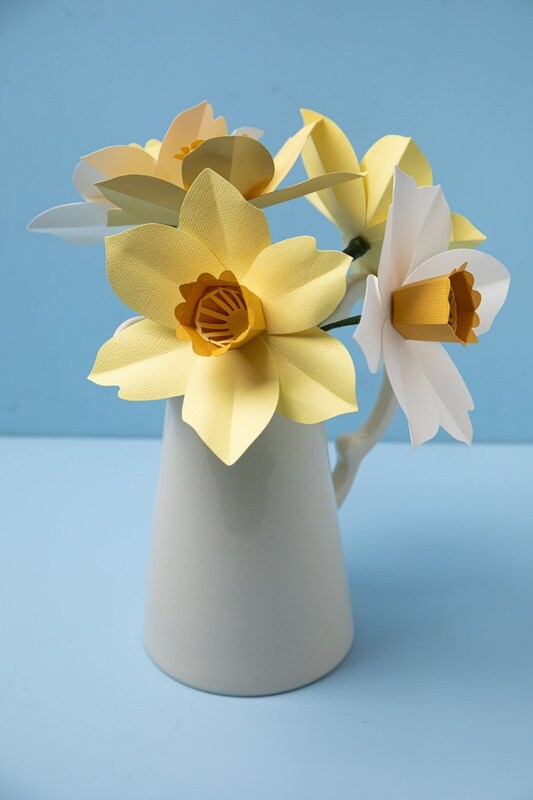 Daffodil Bigz L Die - Sizzix