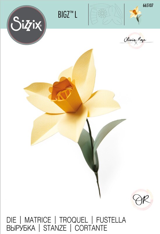 Daffodil Bigz L Die - Sizzix