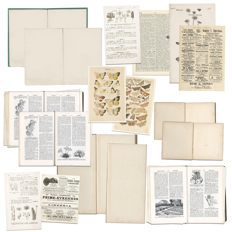 Naturalist Bookplates - 49 And Market