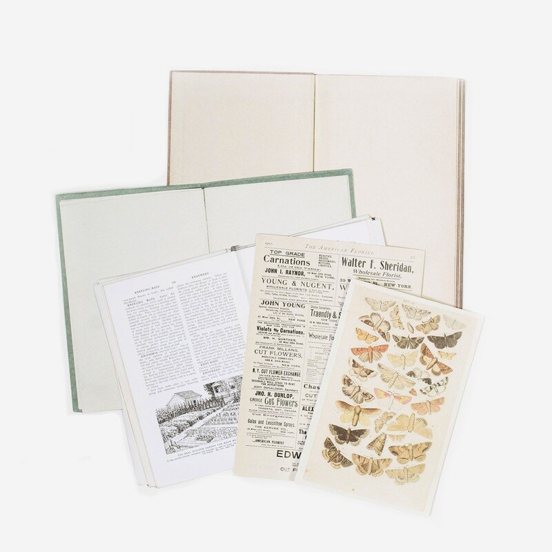 Naturalist Bookplates - 49 And Market