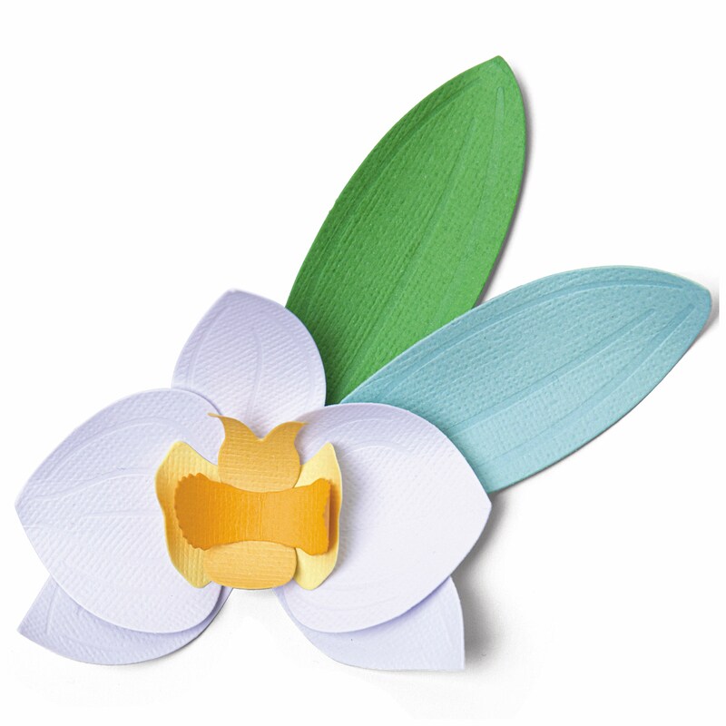Orchid Thinlits Dies - Sizzix | Michaels