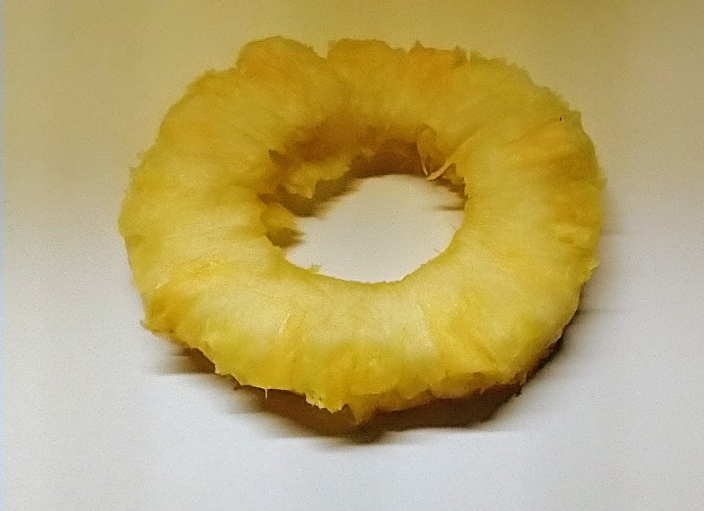 2pc Thin Fresh Pineapple Ring Silicone Molds, Realistic Food Shape Mold, For Wax | Embed | Soap |  Resin Castings