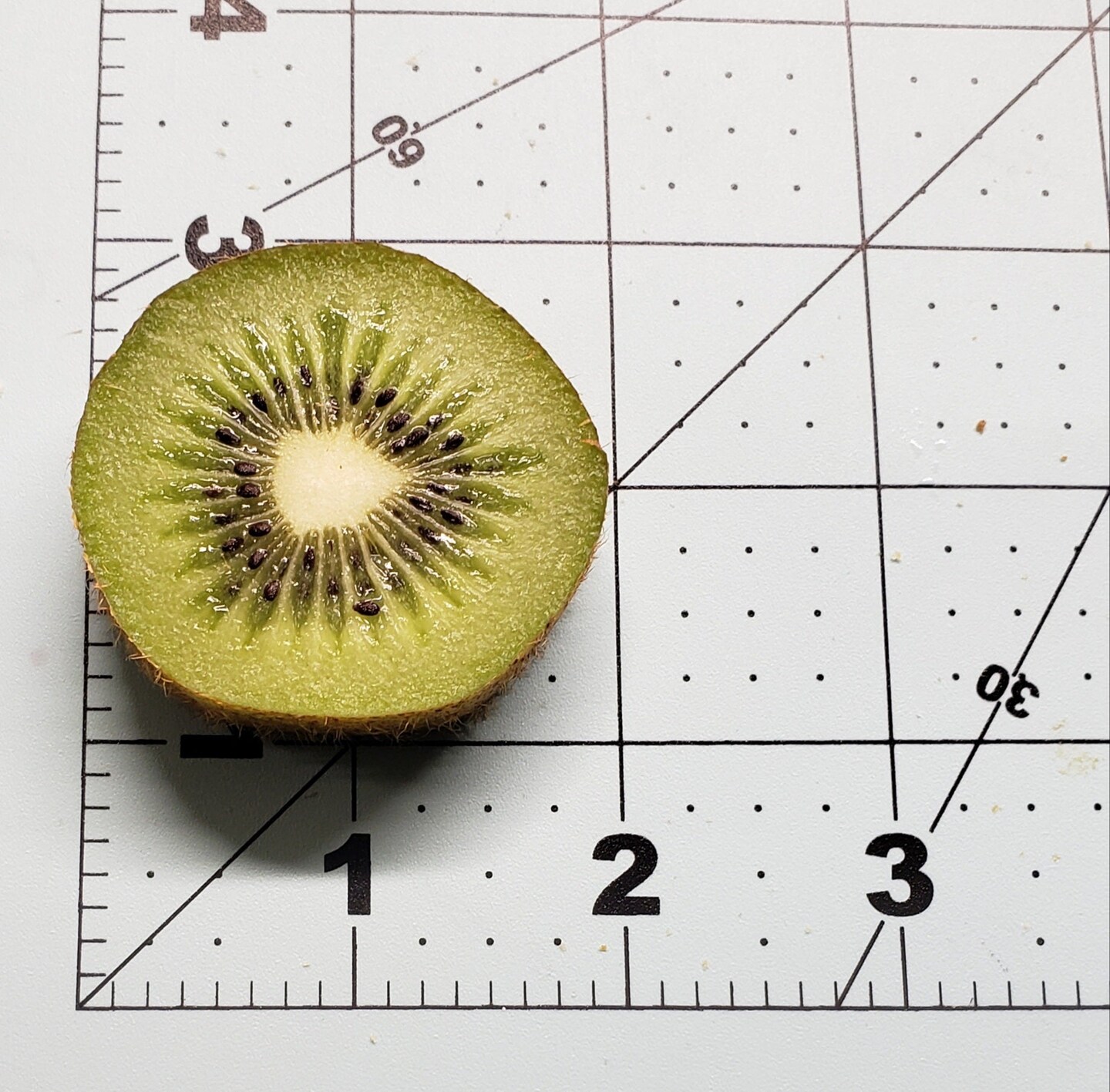 4pc kiwi slices Shape Silicone Mold| Dessert Shape Silicone Mold| Soap| Candle | Mold for Wax| Mold for Resin