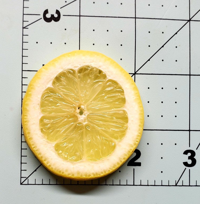 2pc Lemon Slice Citrus Silicone Mold. Embeds for Wax | Soap | Polymer Clay | Resin| Not Food Grade