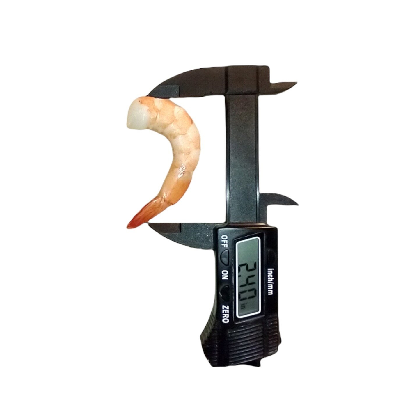 2pc Shrimp Silicone Mold. No Head with Tail On |For Candle| Soap Embeds Mold. Mold for Wax, &#x26; Resin
