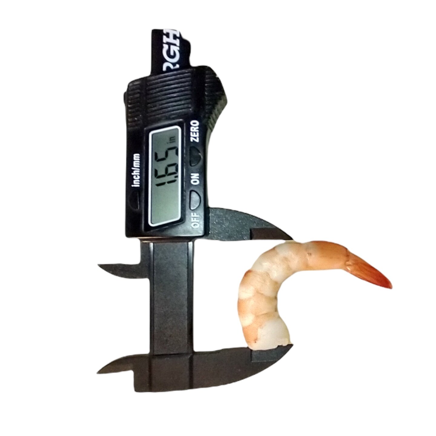 2pc Shrimp Silicone Mold. No Head with Tail On |For Candle| Soap Embeds Mold. Mold for Wax, &#x26; Resin
