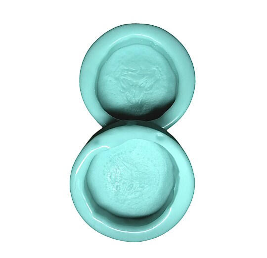 2pc Cucumber Slice Silicone Mold. Embeds for Wax | Soap | Polymer Clay | Resin| Not Food Grade