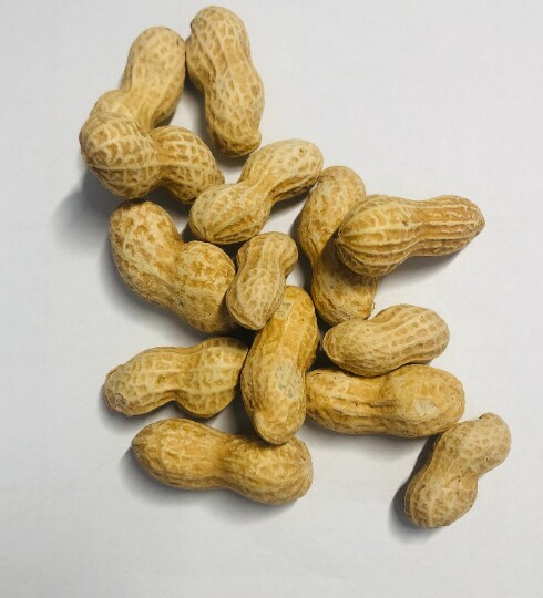 10pc Peanuts with Shell Silicone Mold| Realistic Peanuts| Food Shaped Mold| Candle| Soap | Embeds. Mold for wax| resin|Cla