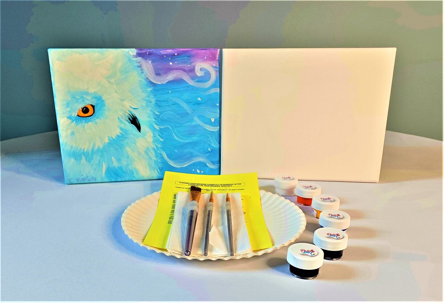 Christmas Paint Kit - Snow Owl Acrylic Painting Kit & Video Lesson, Art Gift Set, DIY Christmas Craft, Painting Gift Set, Paint At Home, Paint Party