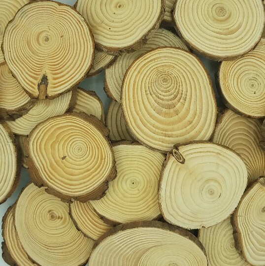 50 Bulk Wood Slices, &#x22;B&#x22; Grade