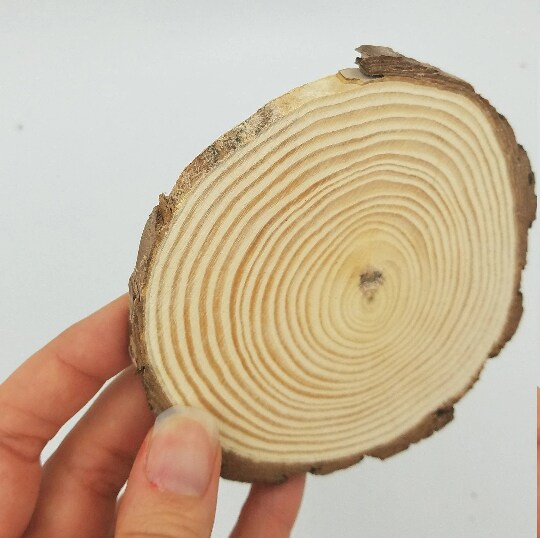 50 Bulk Wood Slices, &#x22;B&#x22; Grade