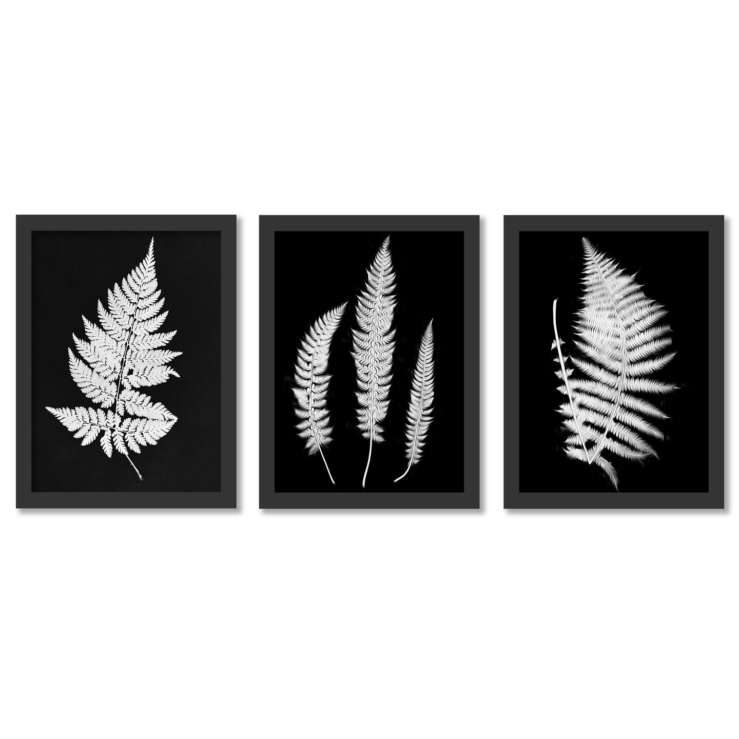 black-and-white-botanicals-by-chaos-wonder-design-3-piece-gallery