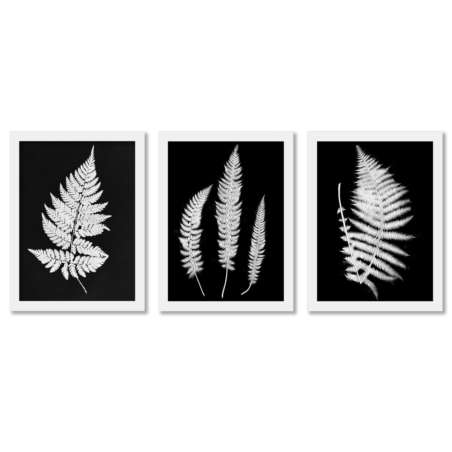 Black and White Botanicals by Chaos u0026 Wonder Design - 3 Piece Gallery  Framed Print Art Set