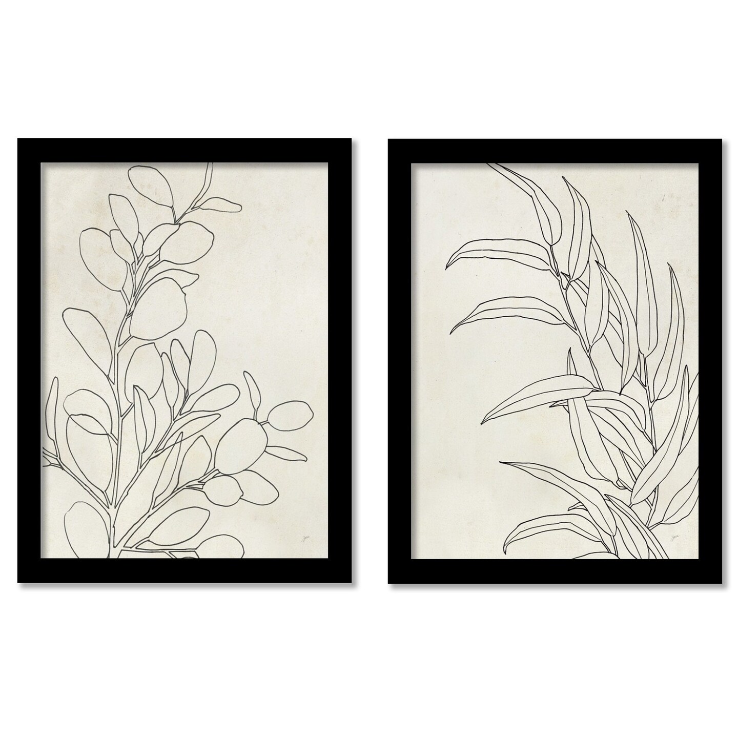 Botany Sketches by Karyn Panganiban - 2 Piece Gallery Framed Print Art ...