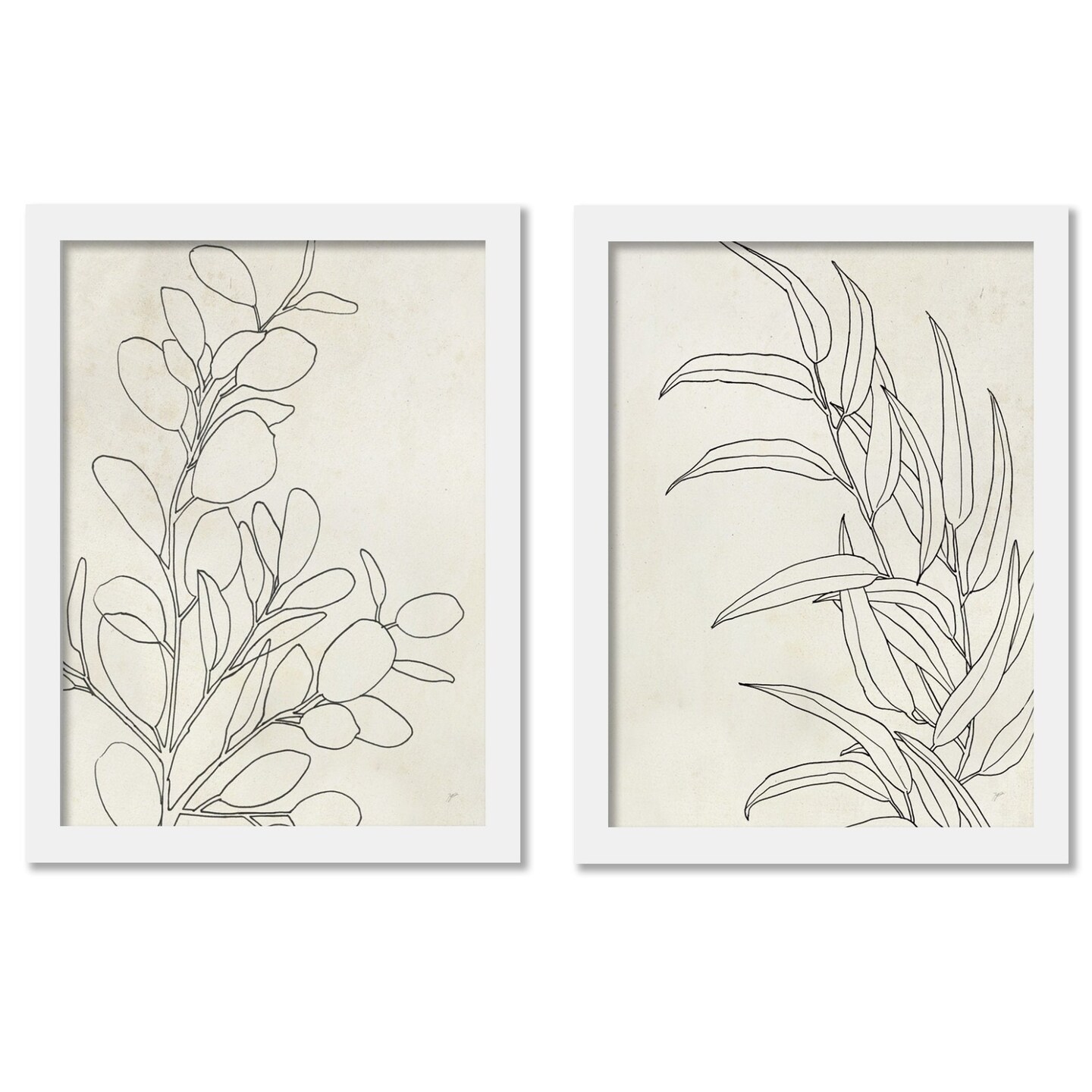 Botany Sketches by Karyn Panganiban - 2 Piece Gallery Framed Print Art ...