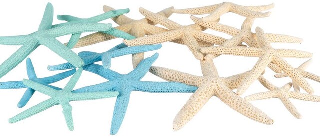 Starfish 12 Uniquely Shaped Blue &#x26; Green White Finger 2&#x22;-5&#x22; Starfish for Crafts and D&#xE9;cor
