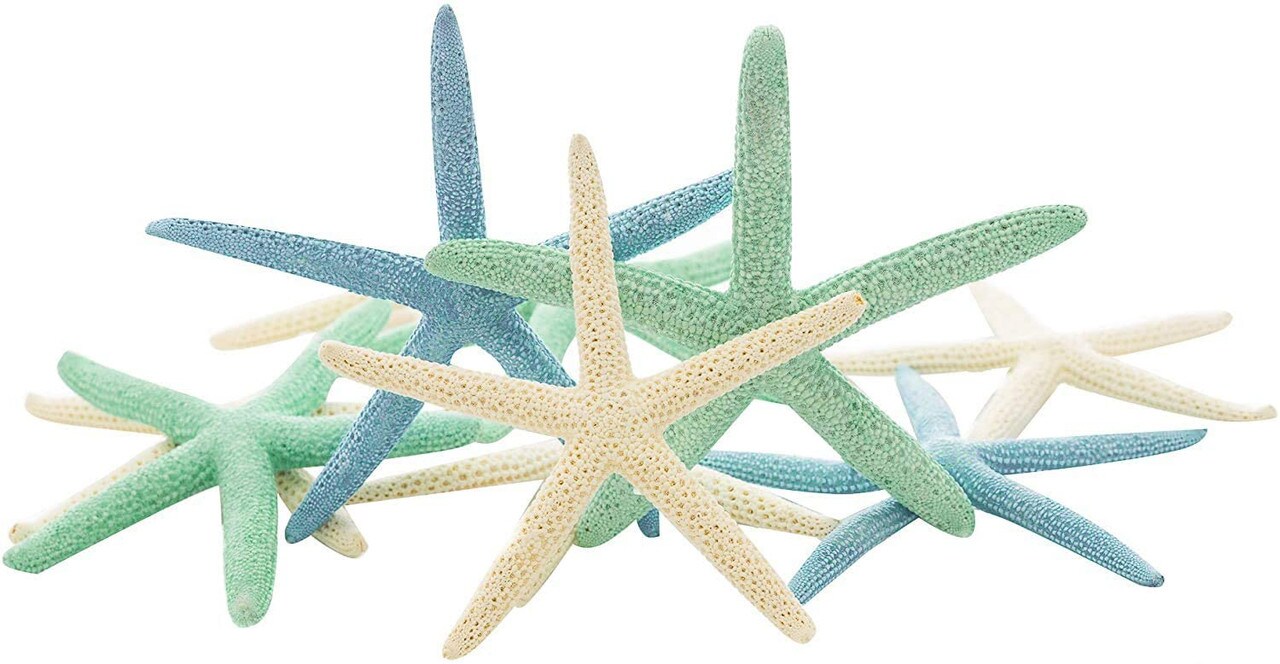 Starfish 10 Blue Green &#x26; White Finger Star Fish 4&#x22;-6&#x22; for Crafts and Decor