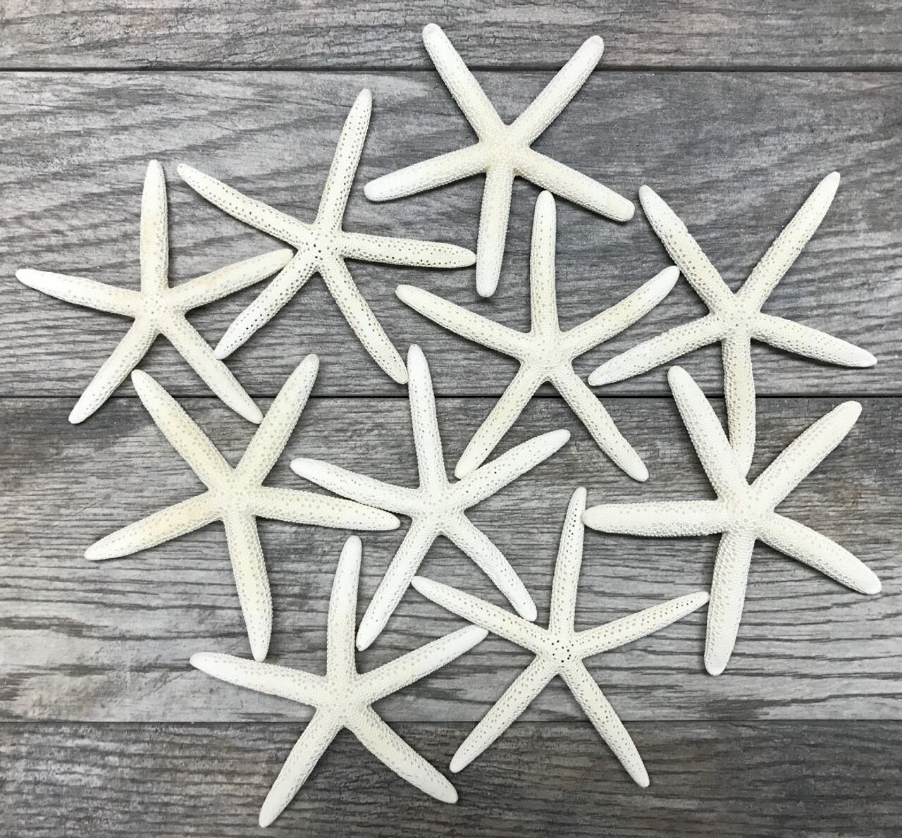 Starfish 10 Pack White Finger Starfish 4-5 for Craft and Décor