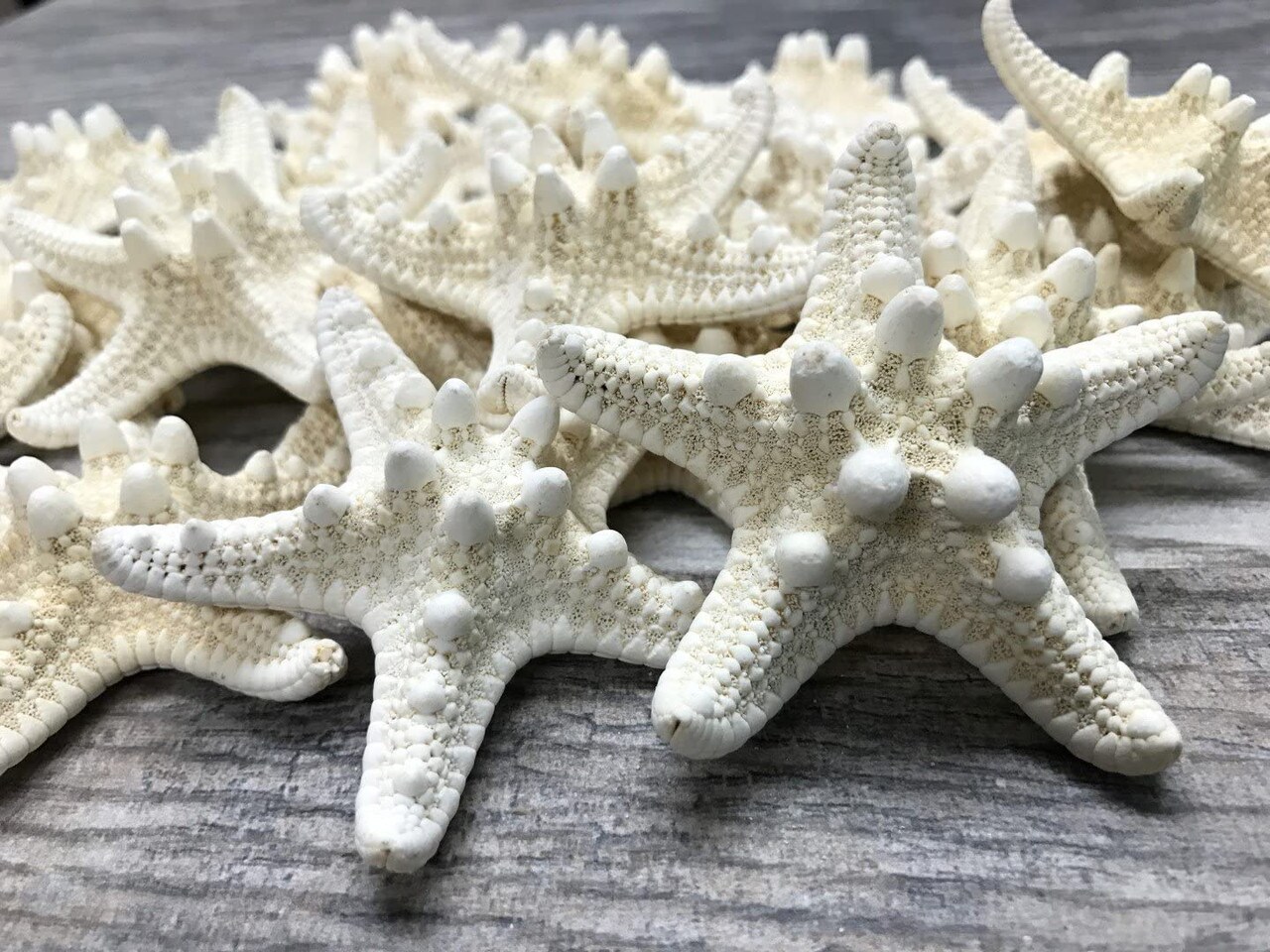 Starfish 24 white Knobby Starfish 3&#x22; to 4&#x22; for Crafts and Decor