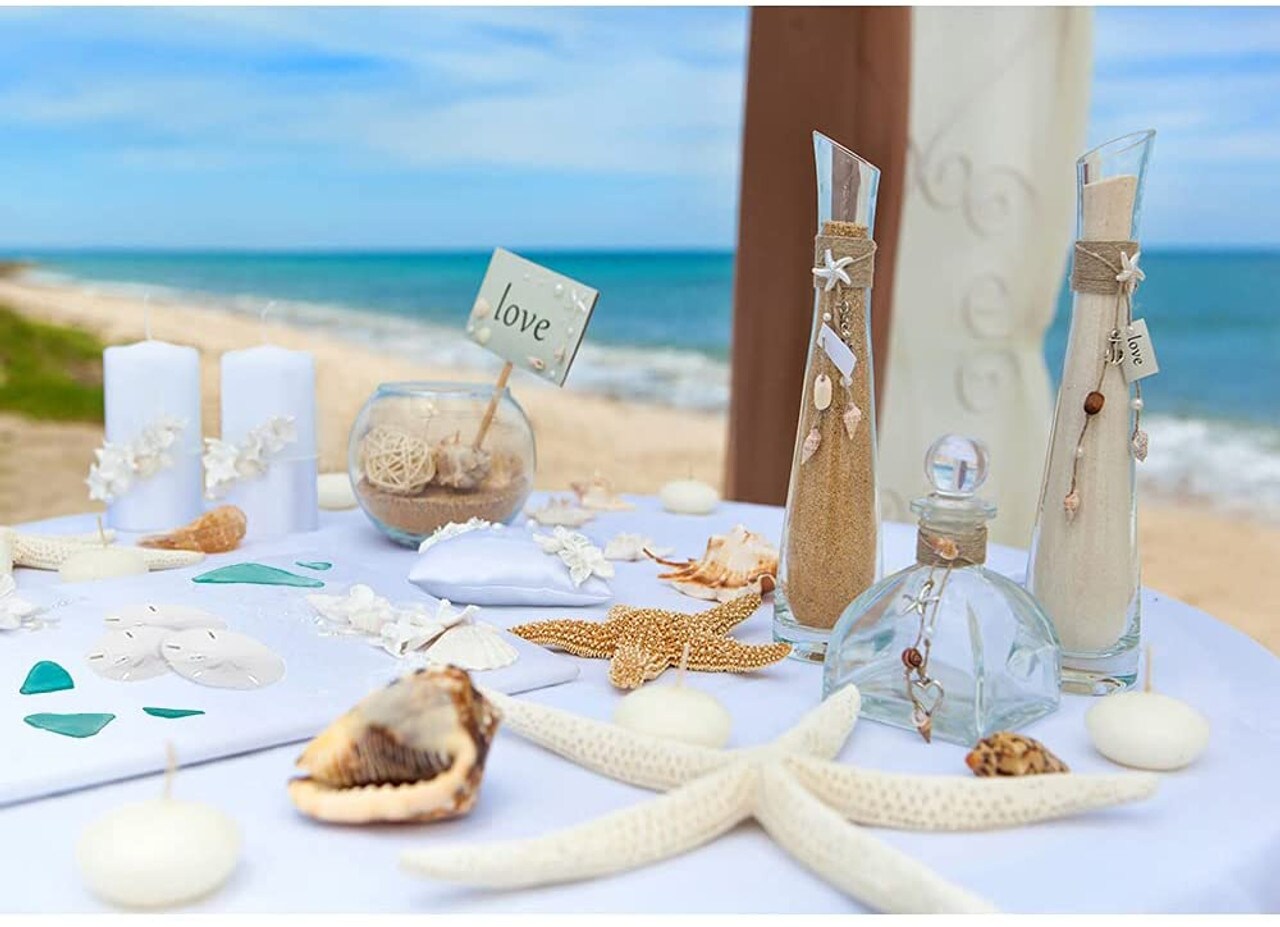 Tiny Sand Dollars 1/4 - 1/2- Sand Dollar - Craft Supply - Beach Wedding  Favors - Wedding Decor - Bulk - Seashell - Gift - FREE SHIPPING!