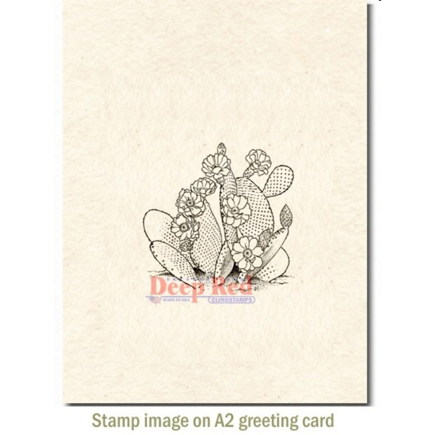 Deep Red Stamps Desert Cactus Rubber Cling Stamp 2.1 x 2 inches