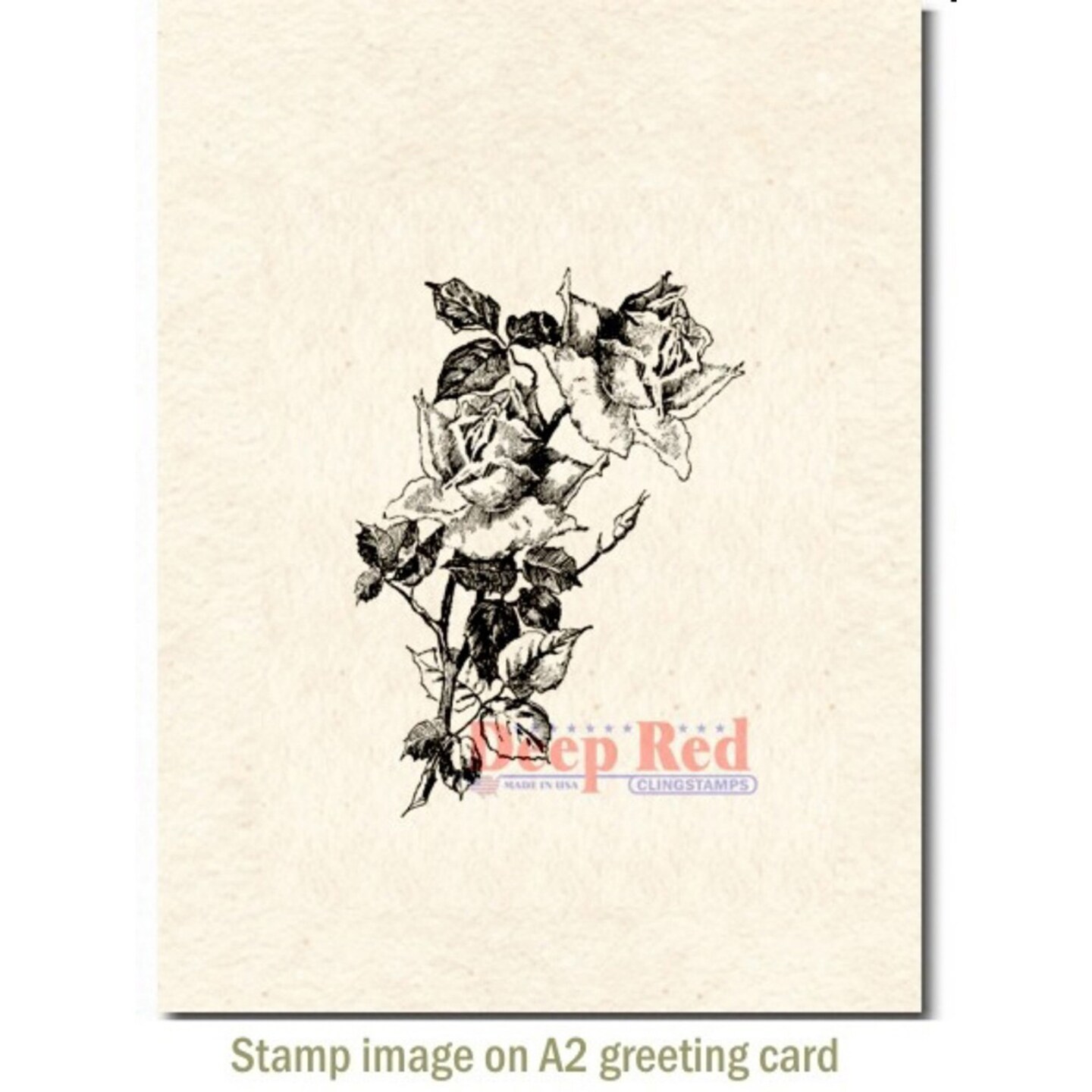 Deep Red Stamps Roses Pen and Ink Rubber Cling Stamp 2 x 3 inches